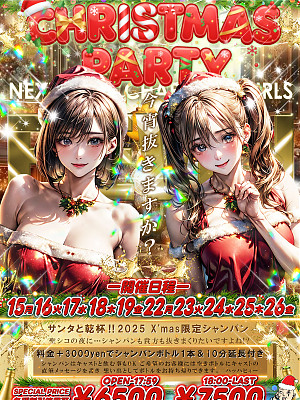 クリスマス セクシーサンタ